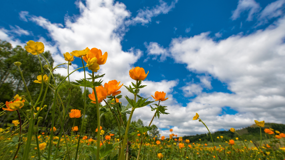 Comment prévenir les sinistres au printemps ?