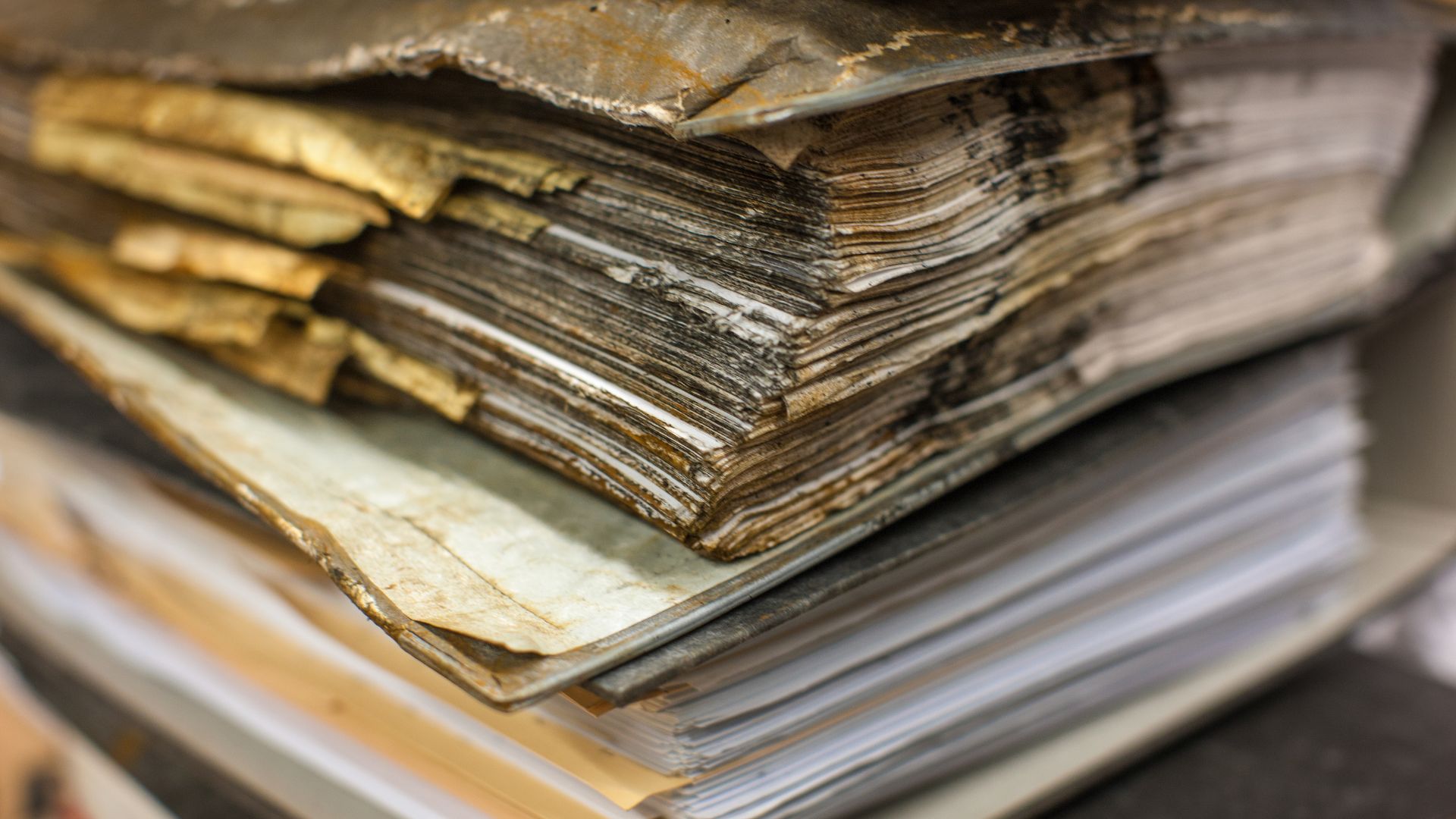 Safeguarding Heritage: Preventing the Top 10 Agents of Deterioration