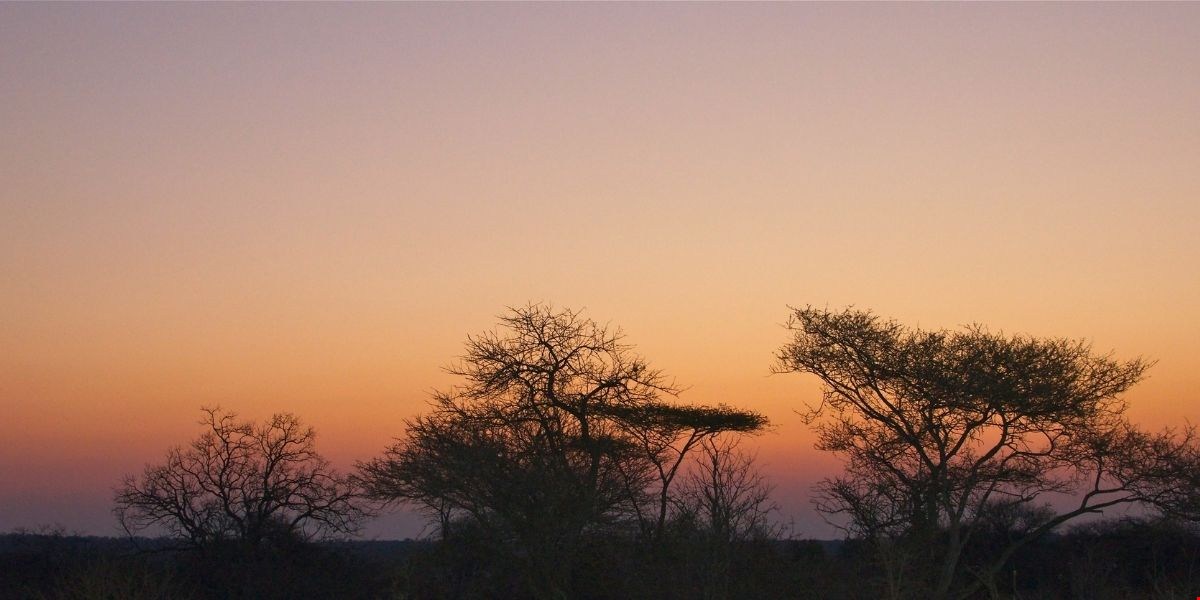 Incendio Devasta un Terzo del Parco Nazionale di Etosha in Namibia