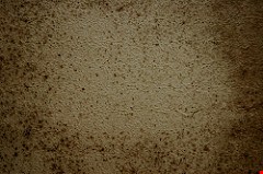 Experience recent water damage? If so, mold may be lurking