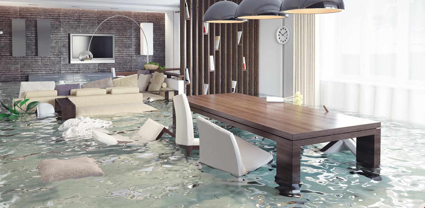 Document Recovery After a Flood