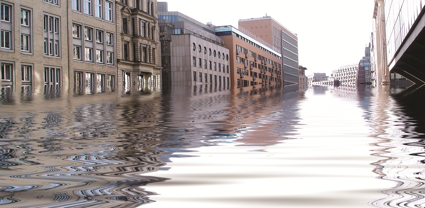 Document Disaster Recovery Services